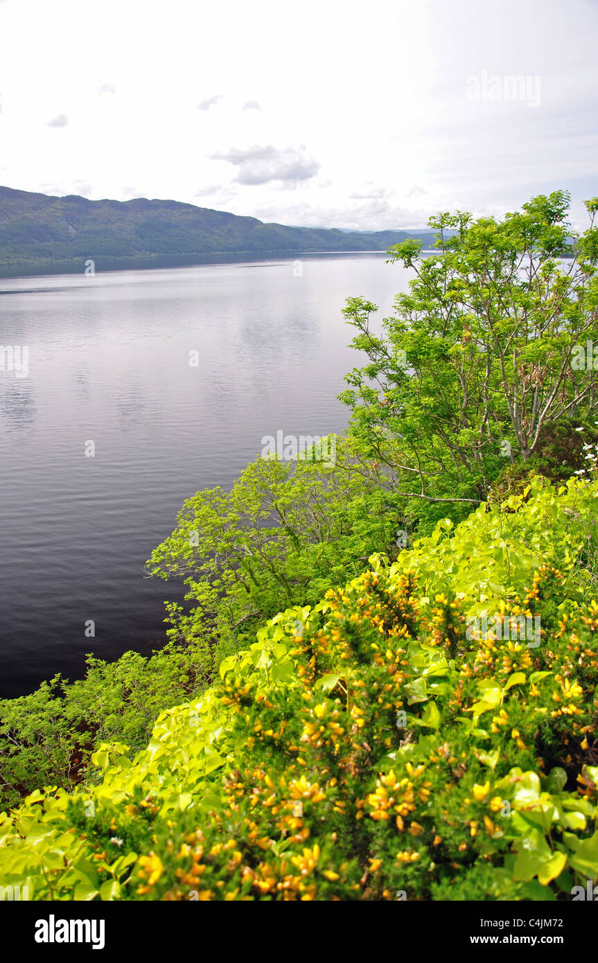 Loch Ness, Scottish Highlands, Scotland, United Kingdom Stock Photo