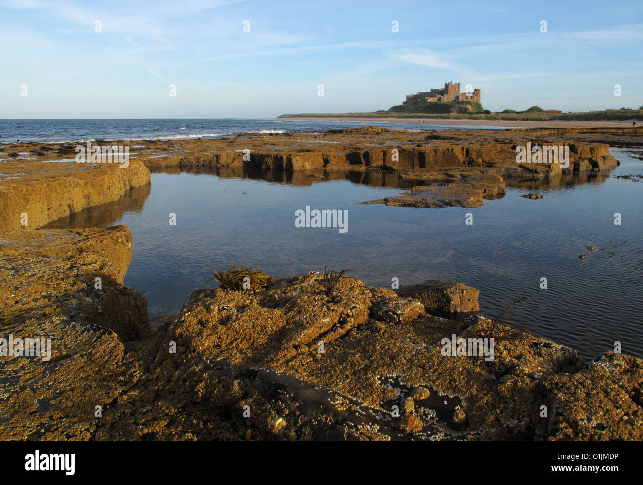 Rock pool at low tide with Bamburgh Castle, on the coast at Bamburgh in Northumberland, England Stock Photo