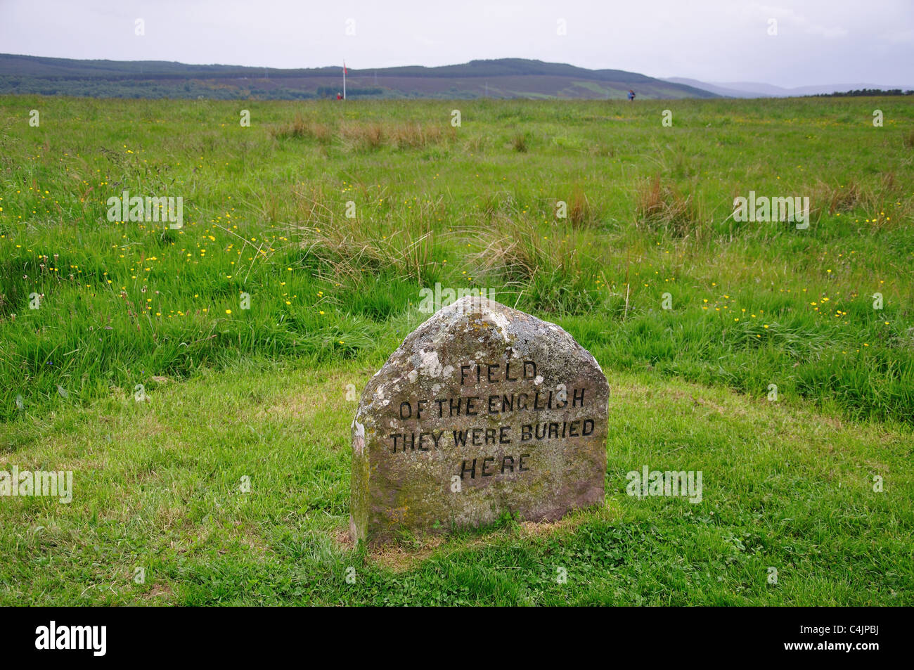 Memorial headstone on Culloden Moor (site of the Battle of Culloden), Scottish Highlands, Scotland, United Kingdom Stock Photo