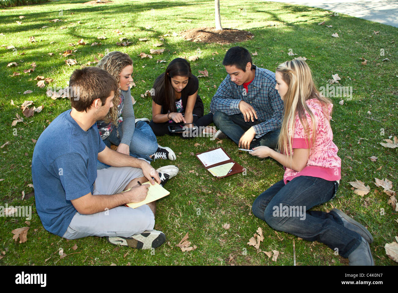 Multi ethnic racial  minority Ethnically diverse group teens study together using iphone  mobile phone phones devices discussion Myrleen Pearson Stock Photo