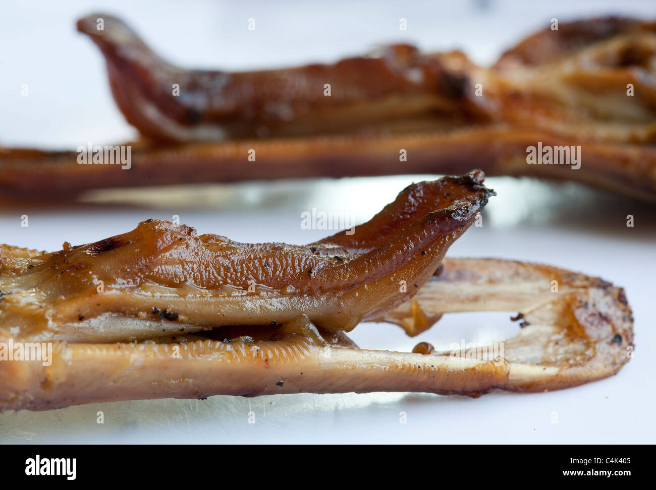 Duck Tongue High Resolution Stock Photography and Images Alamy