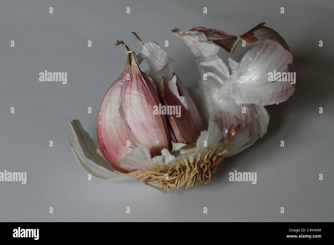Garlic cloves food herbs Stock Photo Alamy