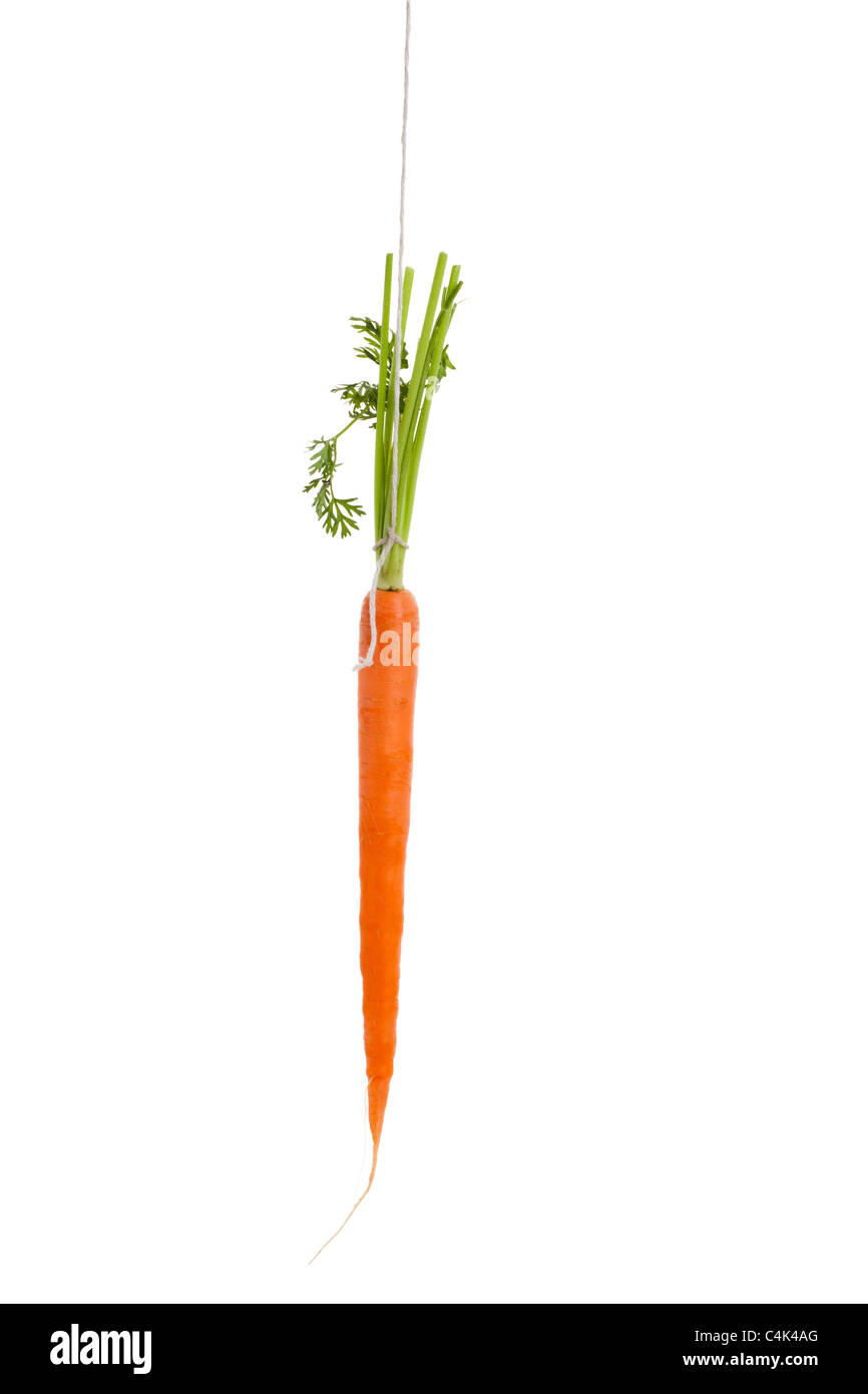 Dangling carrot with white background Stock Photo Alamy