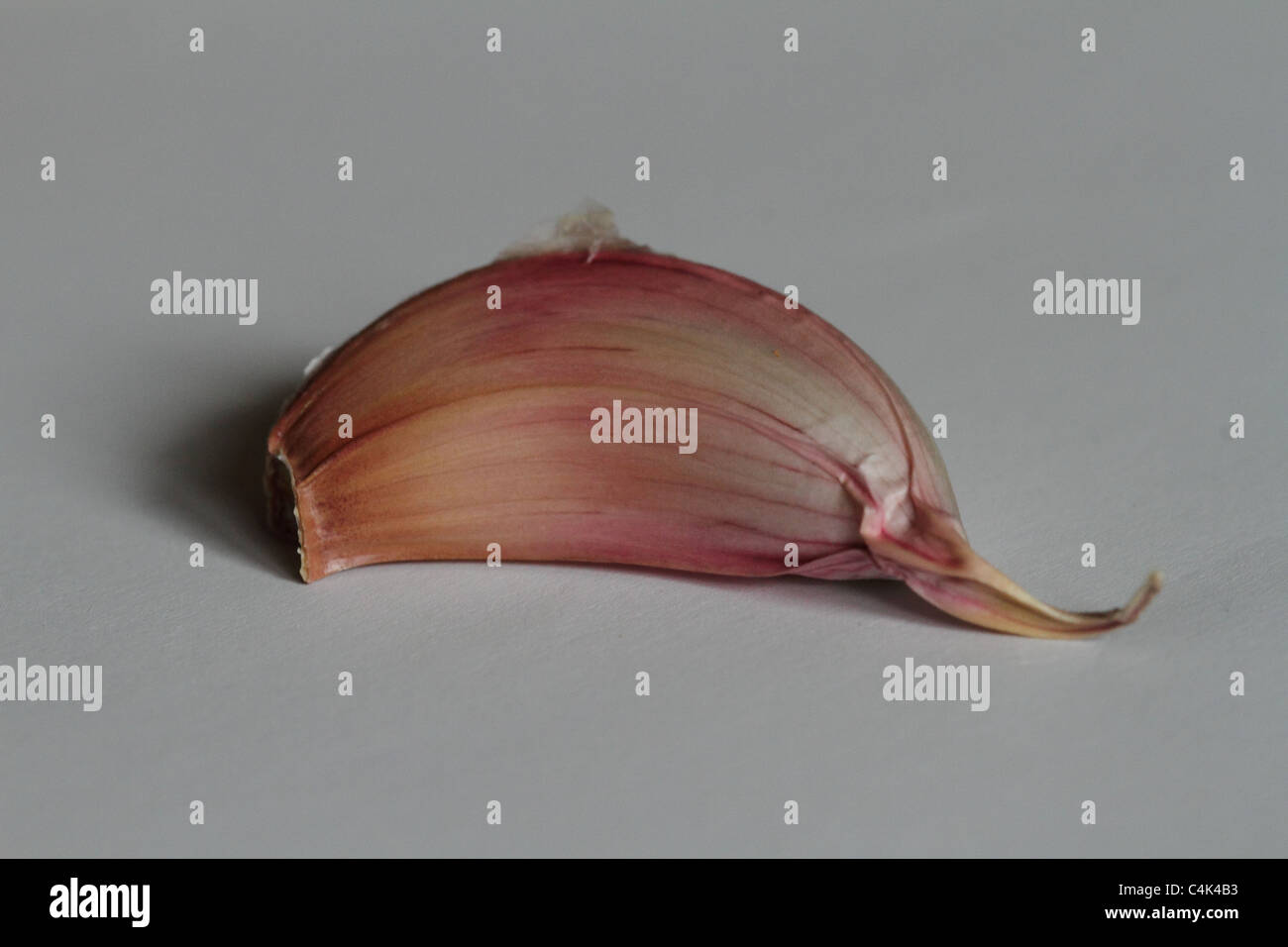 Garlic cloves food herbs Stock Photo Alamy