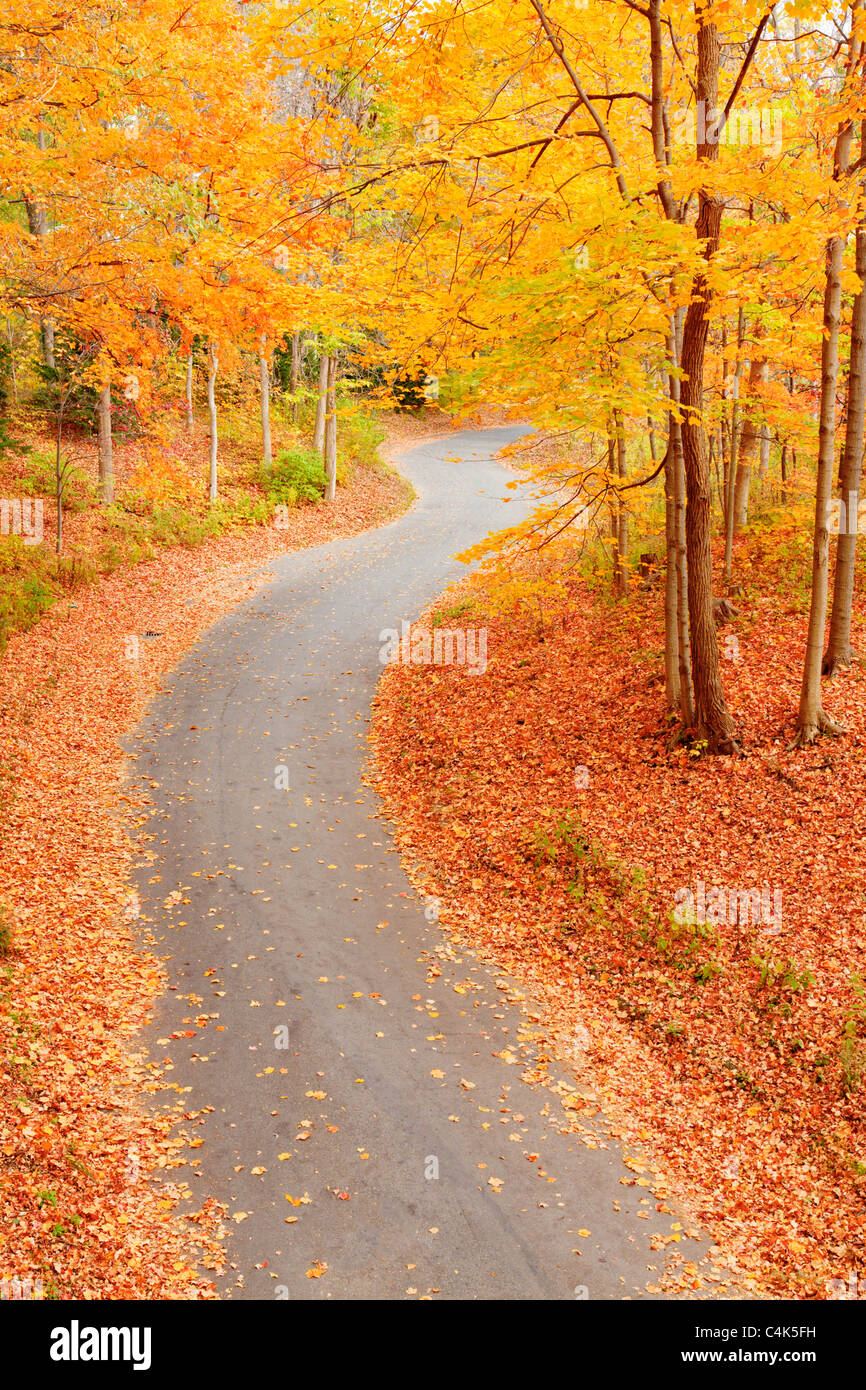 Winding alley in the fall park Stock Photo - Alamy