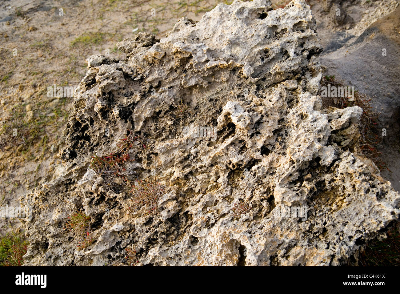 eroded erosion limestone rock geology dissolved Stock Photo