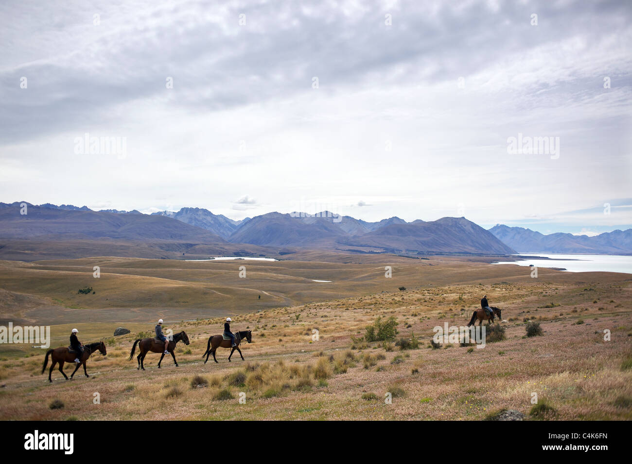 Horse trekking on top of Mount John overlooking Lake Tekapo and the