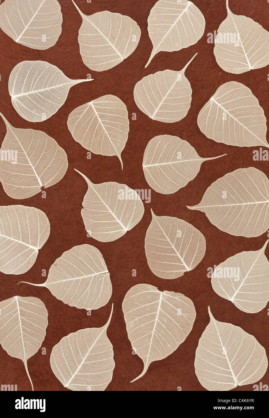 White skeletal leaves over brown handmade paper - vertical background Stock Photo
