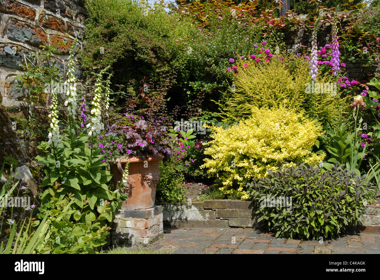 A colorful landscape image of a typical English country garden with a variety of pots and flowers against a brick garden wall. Stock Photo