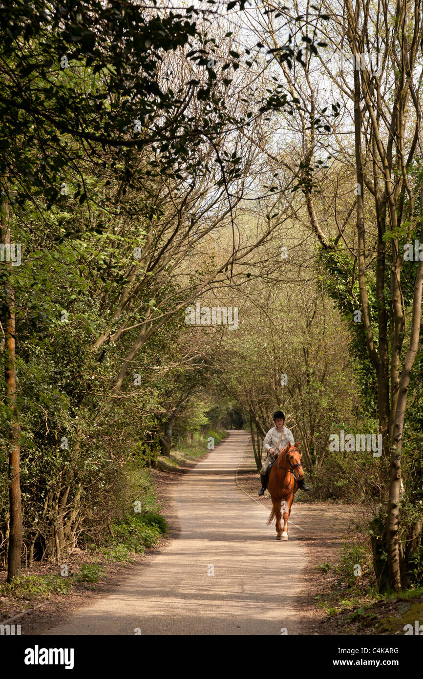 man riding a horse on a quiet country lane in the sunshine Stock Photo