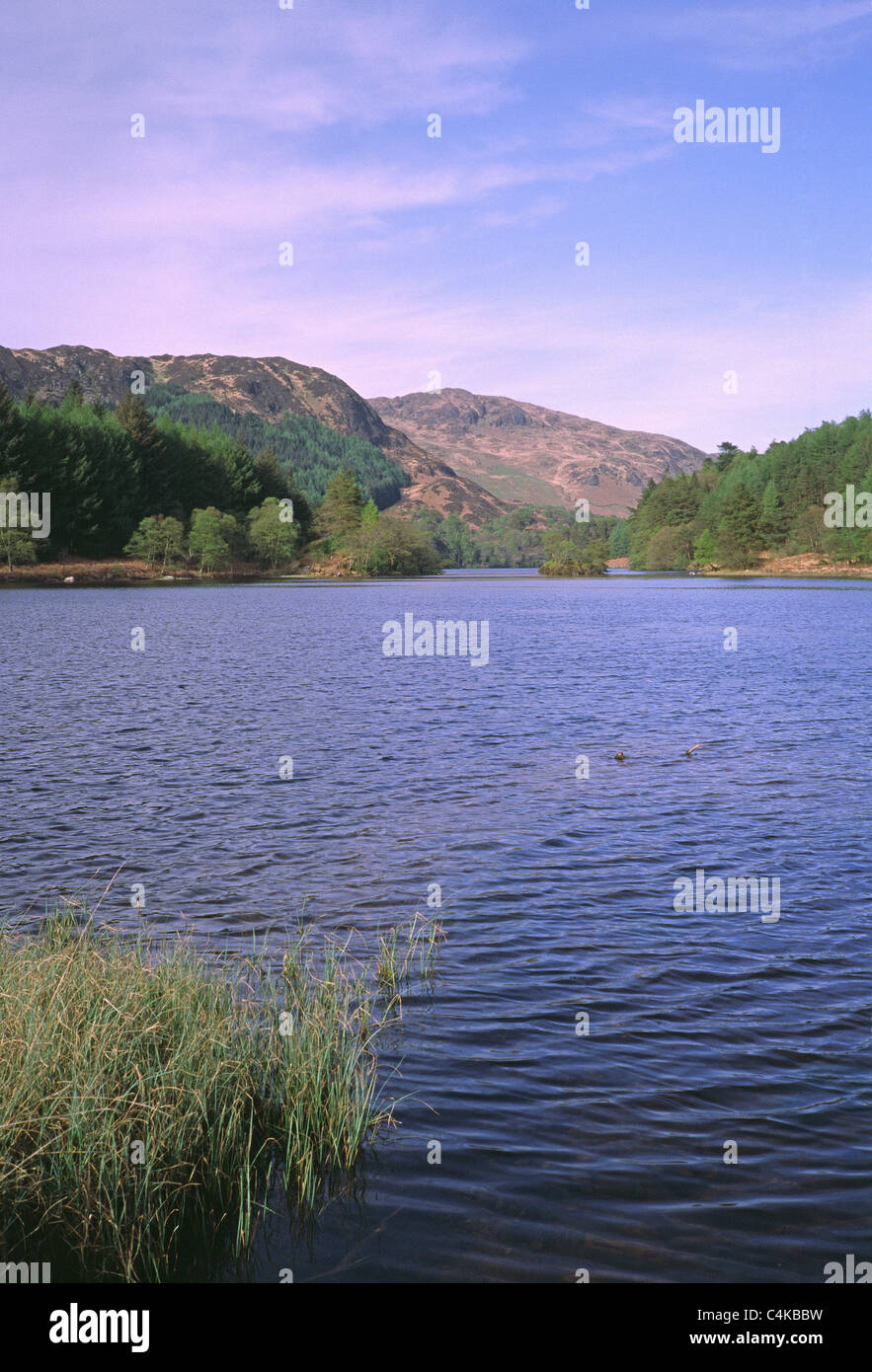 Loch Trool in GlenTrool, Galloway Forest Park, Dumfries and Galloway, Scotland, UK. Taken in Spring Stock Photo