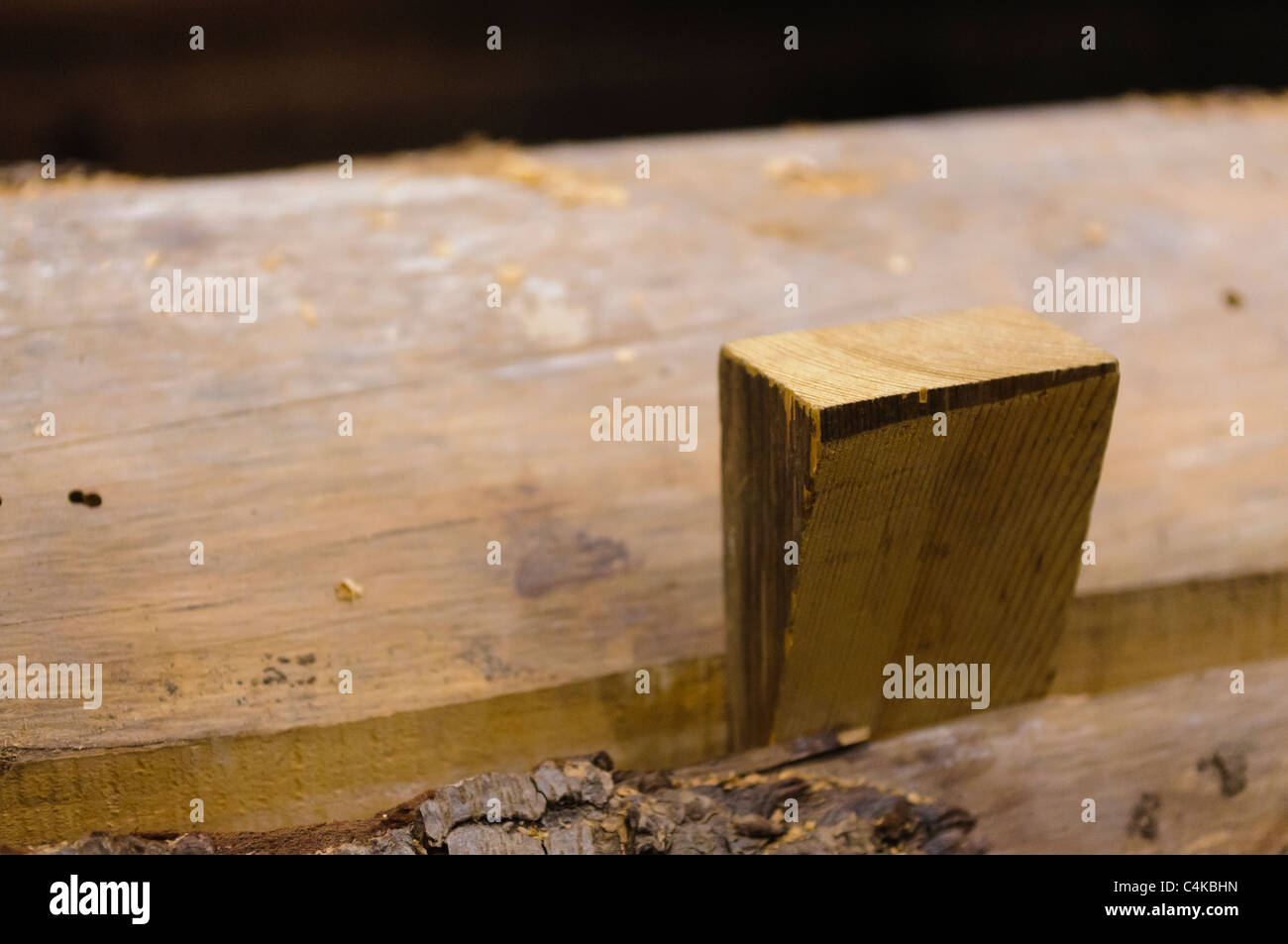 Wooden wedge driven into a tree trunk to split it for lumber Stock Photo