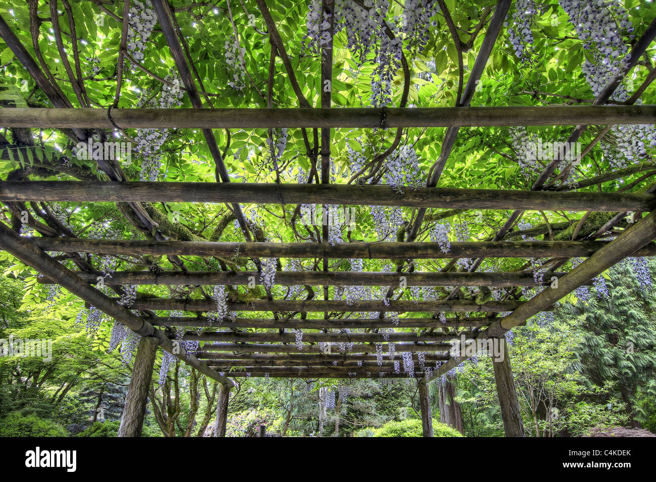 Japanese pergola hi-res stock photography and images - Alamy