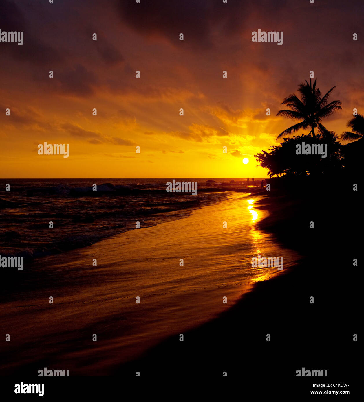Ocean sunset on Hawaii island Stock Photo Alamy