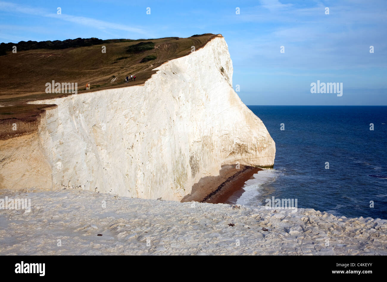Chalk cliffs at Seaford Head, East Sussex, England Stock Photo