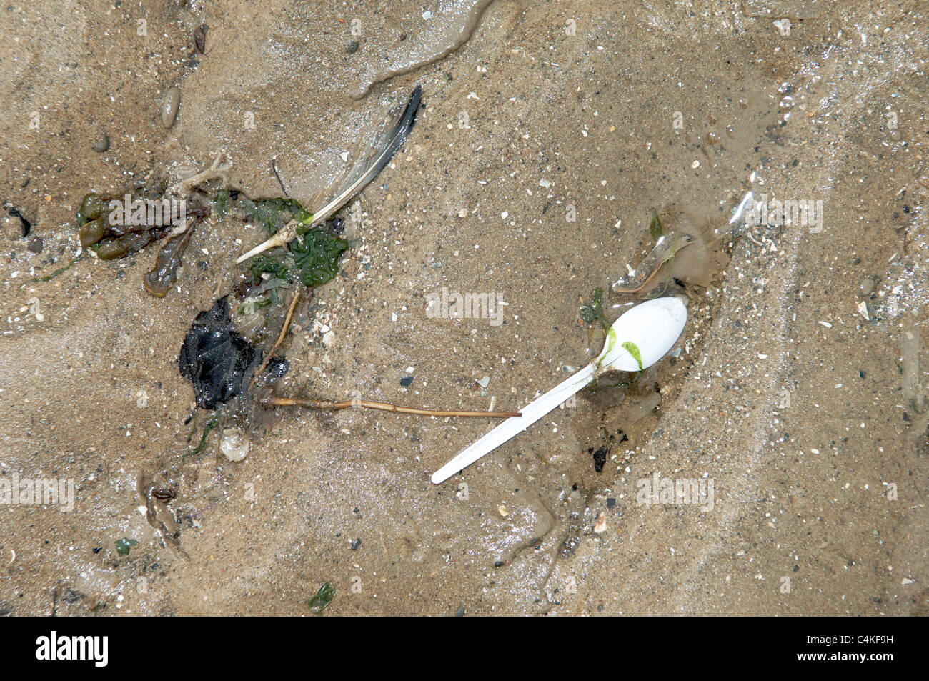 Rubbish washed up on empty beach Stock Photo - Alamy
