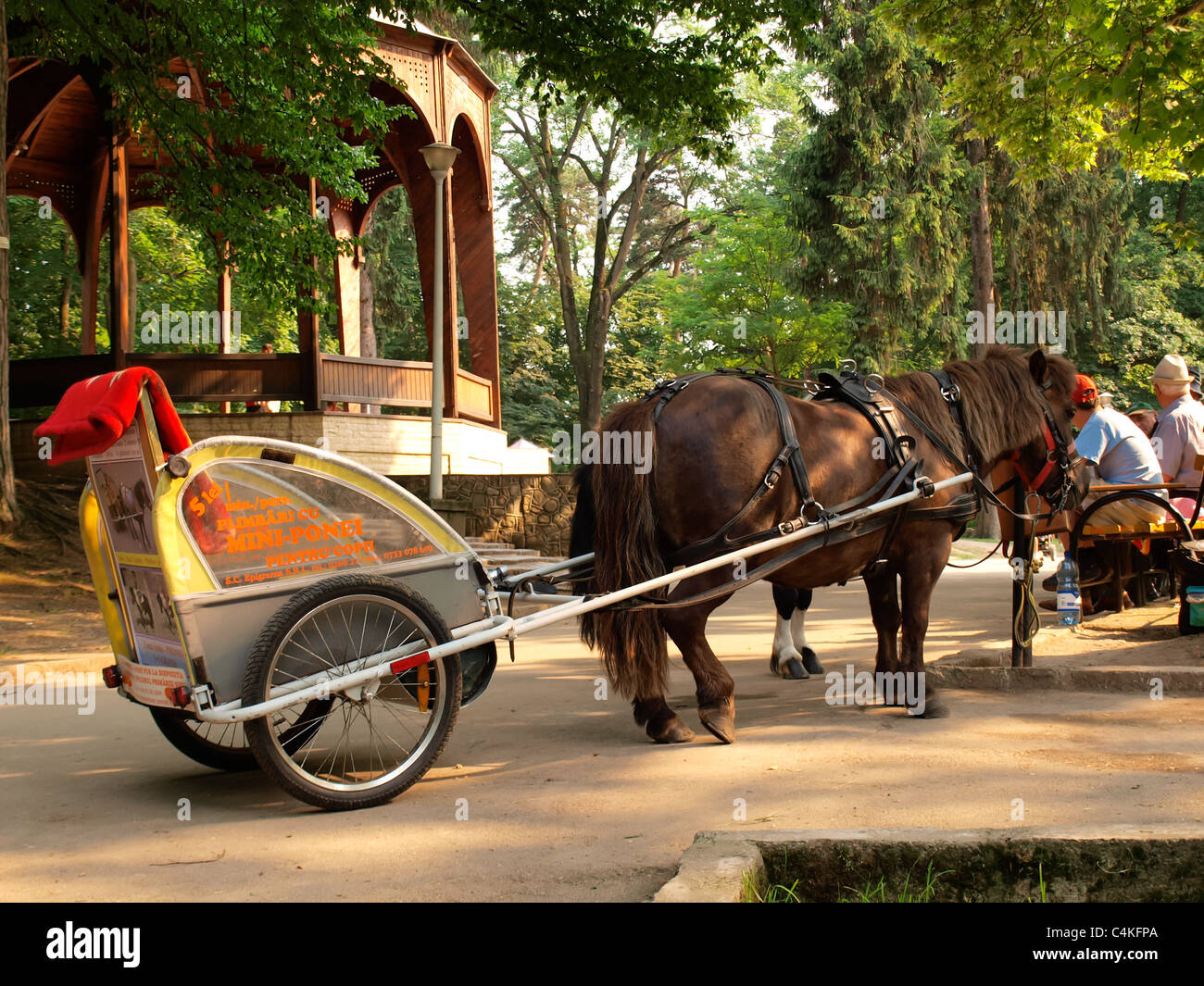 Horse pony cart in Sibiu, Sub Arini Park. Stock Photo