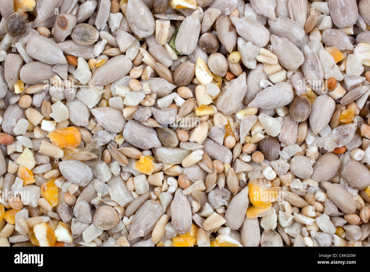 Bird seed mix; sunflower; corn etc Stock Photo Alamy