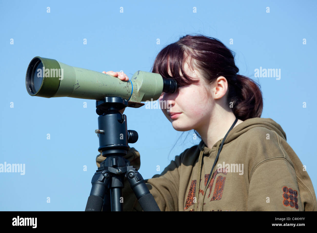 Girl bird watching; Cornwall Stock Photo