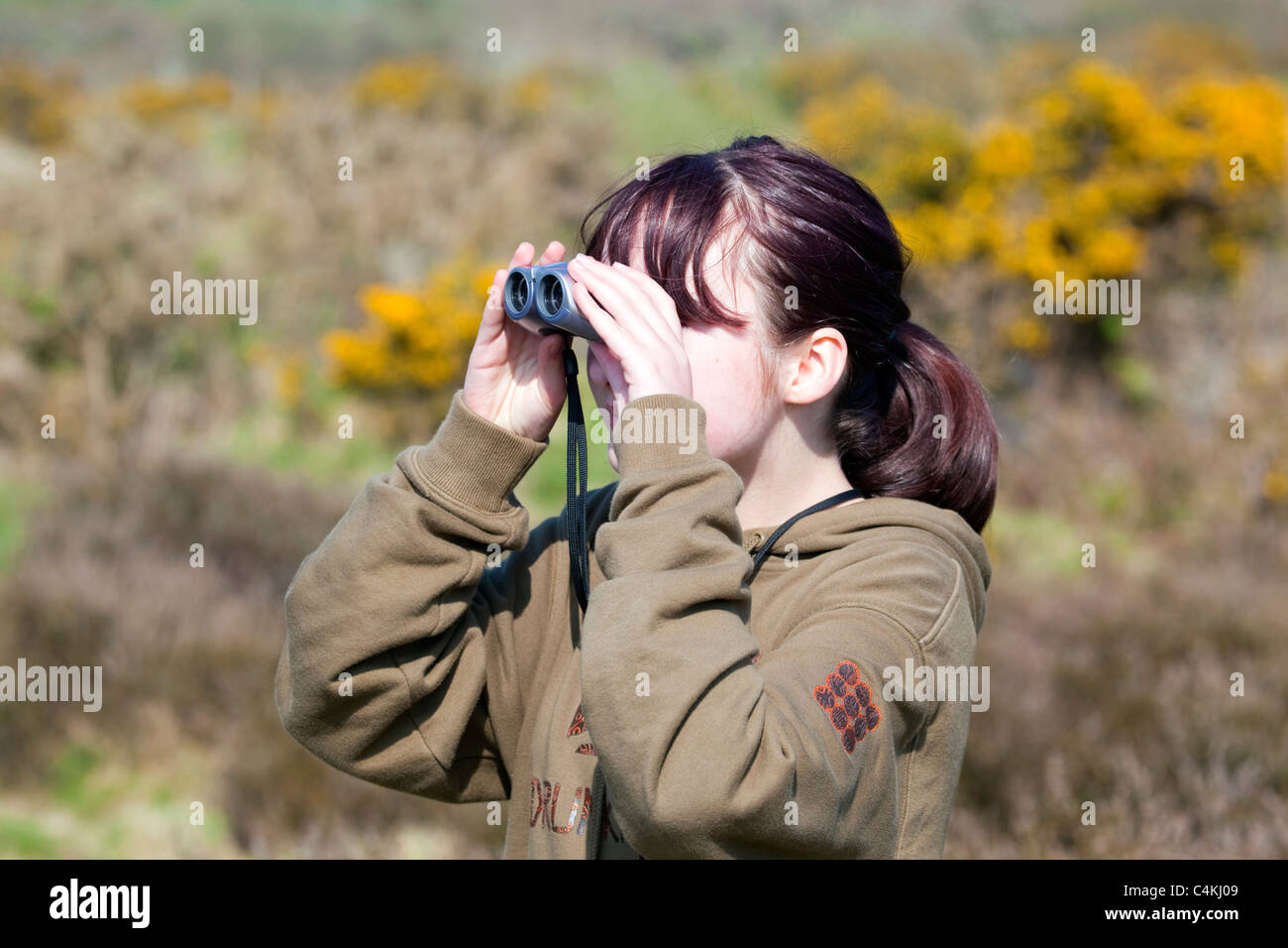 Girl bird watching; Cornwall Stock Photo