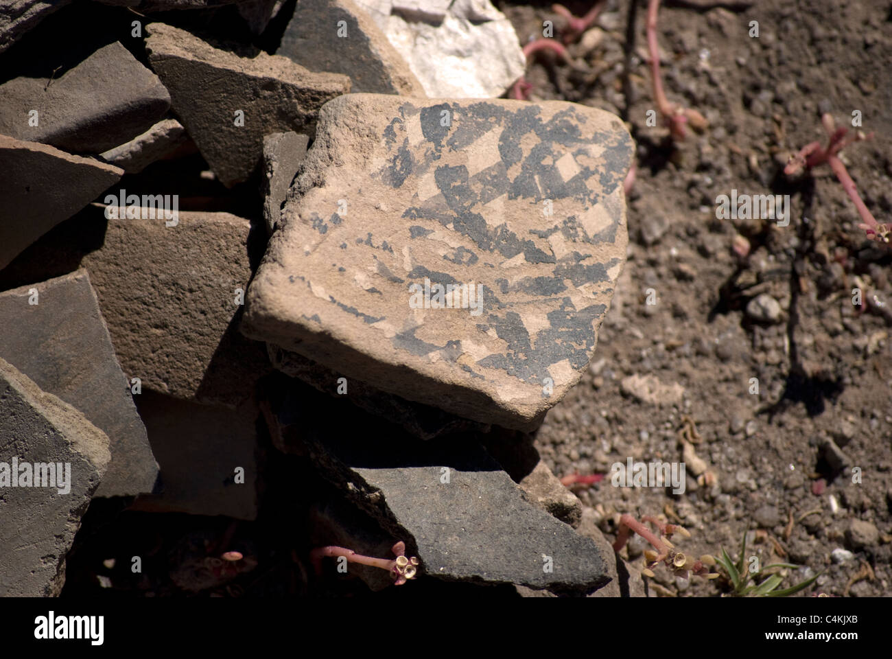 A grouping of Ancestral Pueblo pottery sherds found at Tsankawi: Bandelier National Monument. Stock Photo