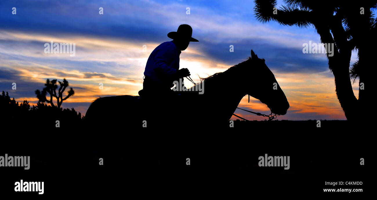 Desert Sunset Stock Photo