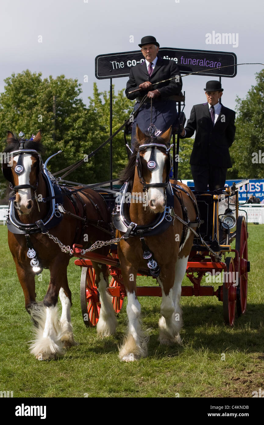 Shire horse pulling dray hires stock photography and images Alamy
