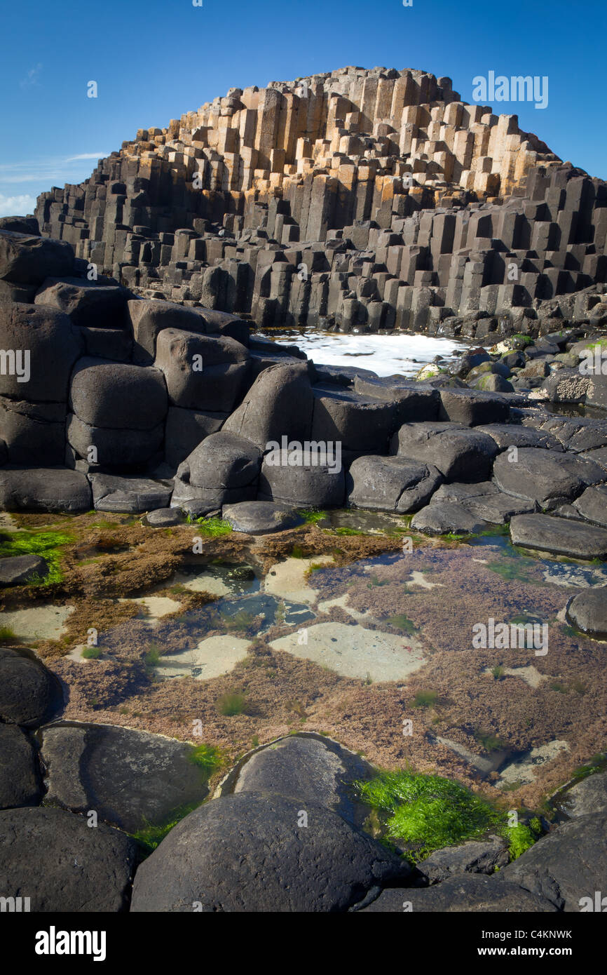 The Giant's Causeway on the northern coast of Northern Ireland, UK Stock Photo