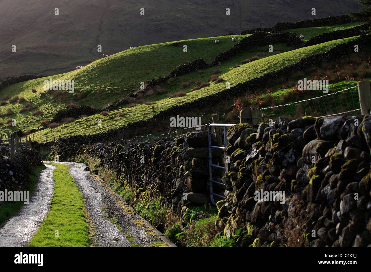 Stone Walls and Farmers Road Landscape Ireland Stock Photo