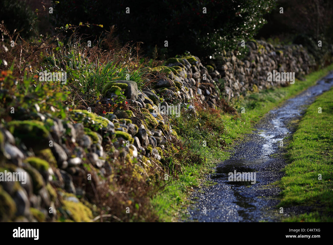 Stone Walls and Pathway Ireland Stock Photo