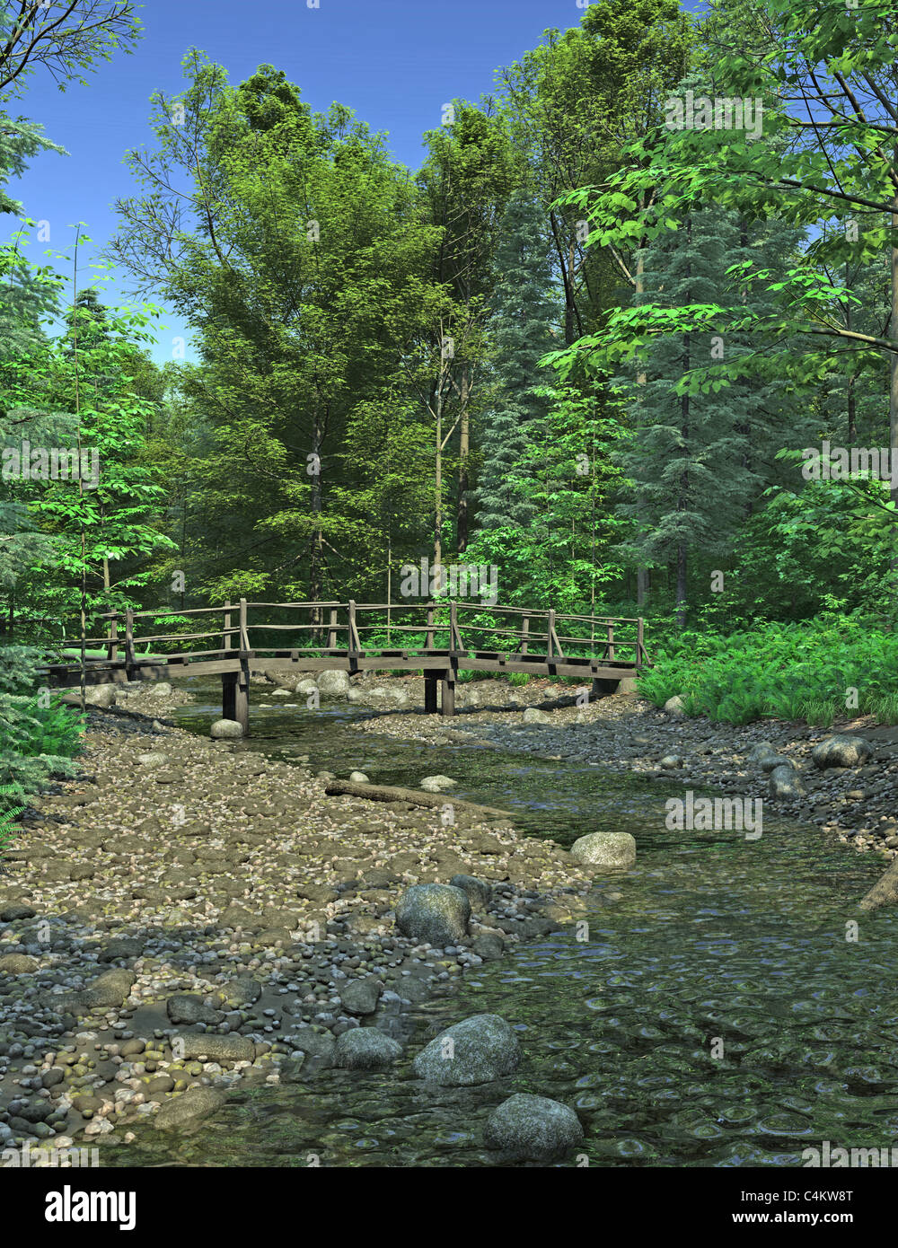 Bridge over a Woodland Stream Stock Photo - Alamy