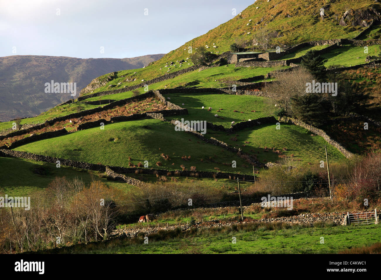 Stone Walls and Farmland Ireland Stock Photo