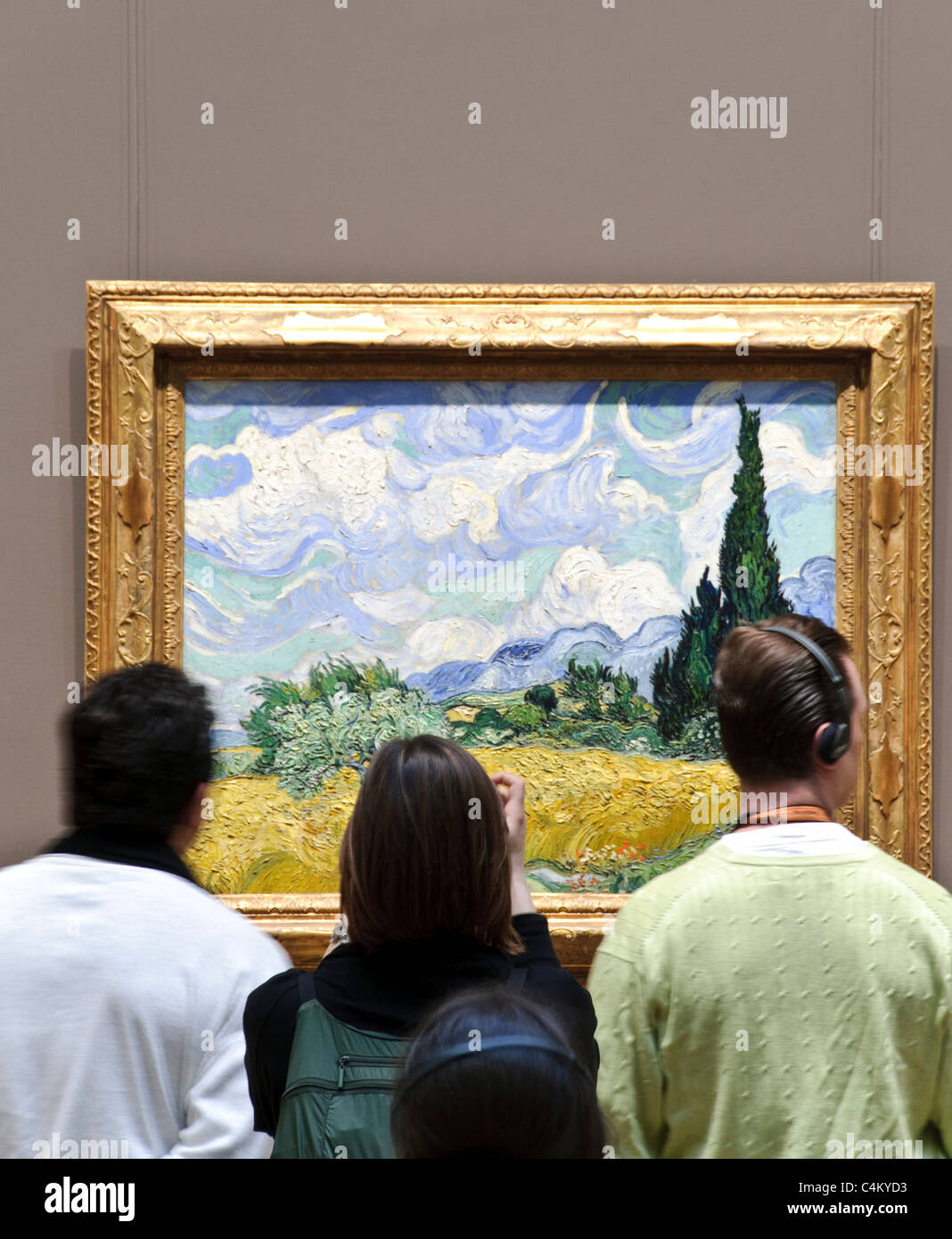 Wheat Field With Cypresses 18 By Vincent Van Gogh Stock Photo Alamy
