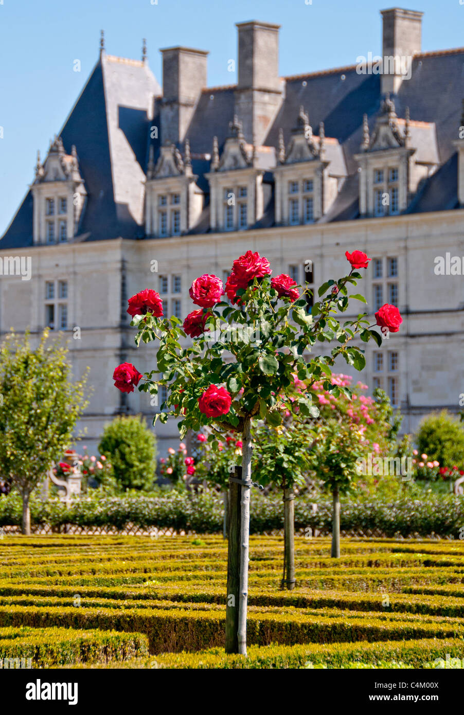 Chateau de Villandry, Indre et Loire, France Stock Photo