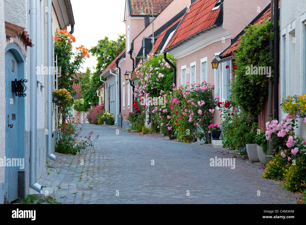 Traditional houses decorated with flowers in cobbled street of the Hanseatic town Visby, Gotland