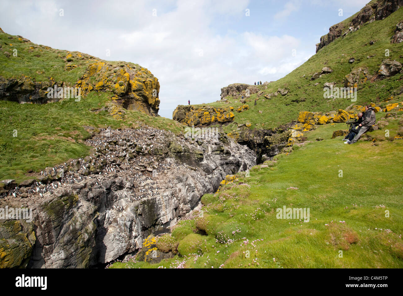 Lunga; Treshnish Islands; Scotland Stock Photo - Alamy