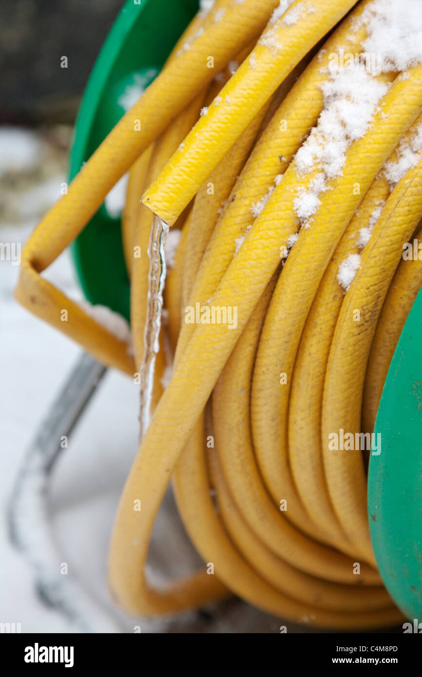 Garden Hose Pipe on Reel with Frozen Water dripping from end of Nozzle
