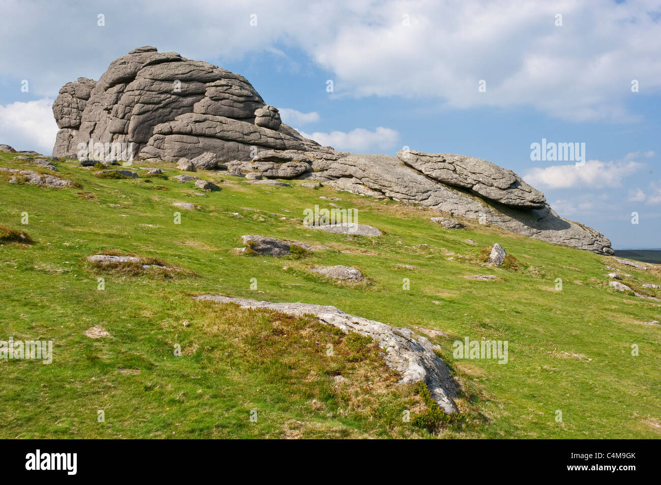 Close focus wide angle of Haytor rocks in Dartmoor National Park with bright sunshine. Stock Photo