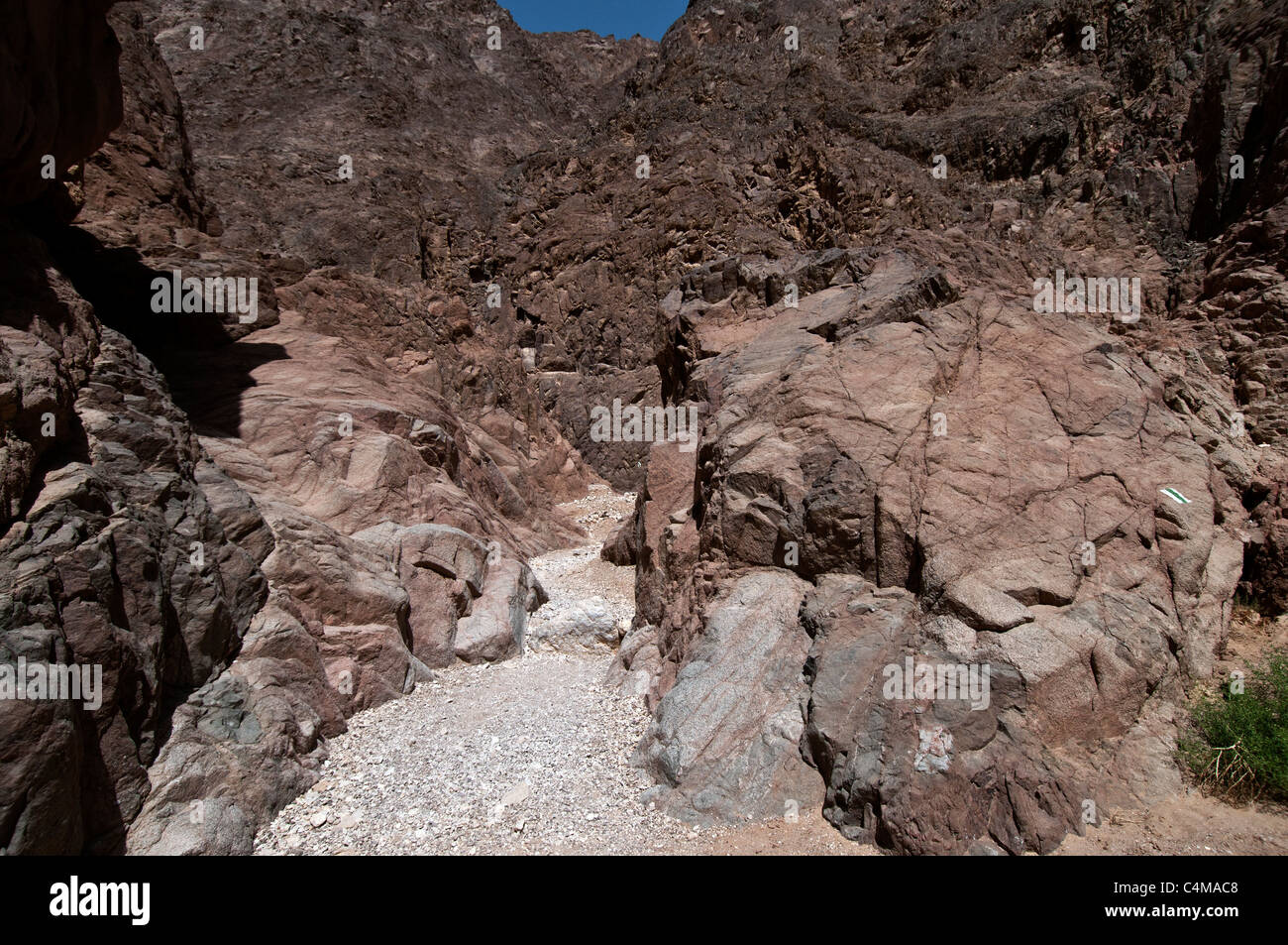 Netafim israel hi-res stock photography and images - Alamy