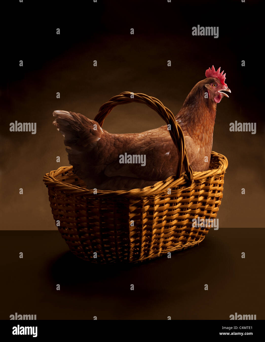 Chicken in a Basket Stock Photo Alamy