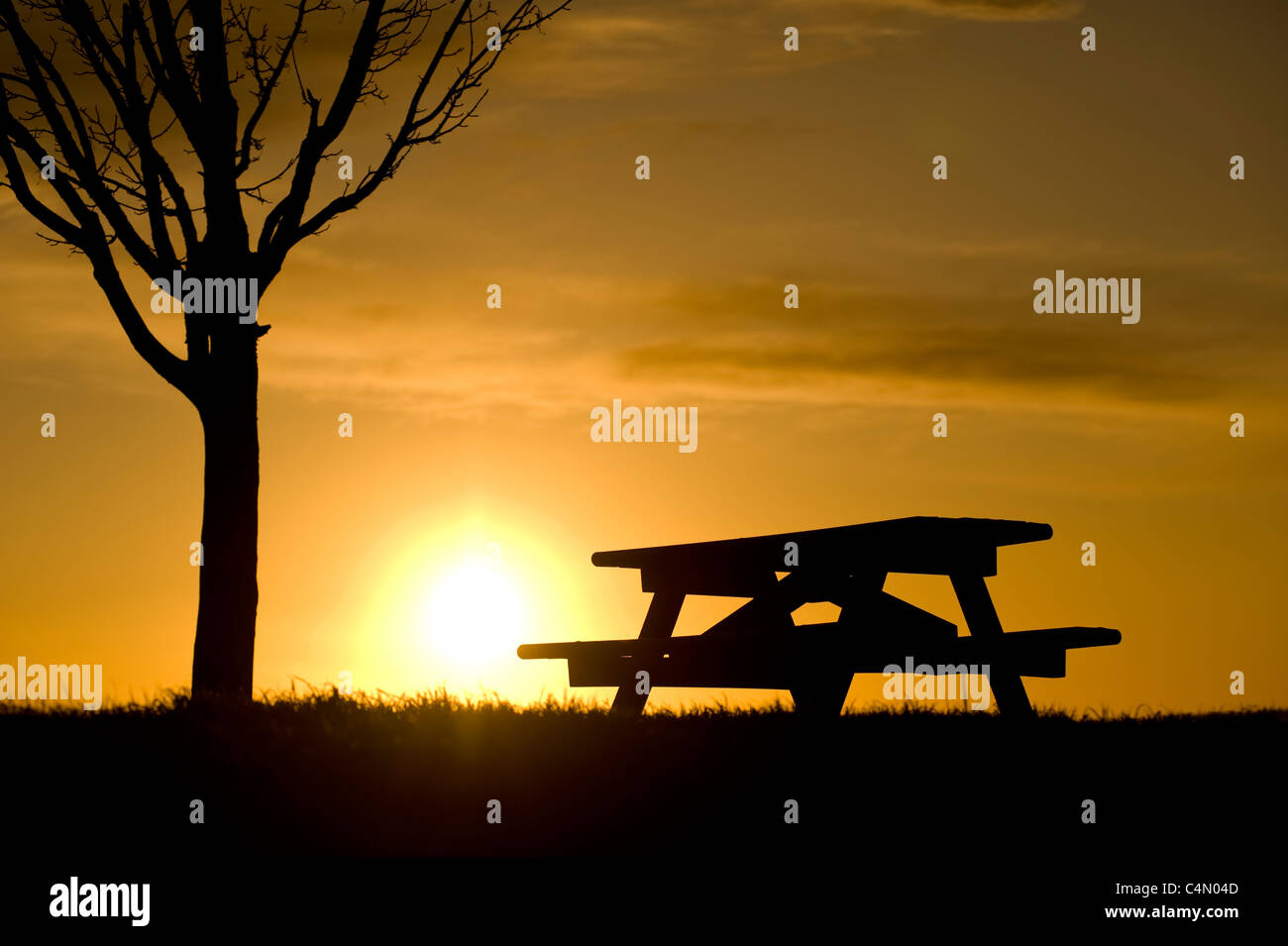 Picnic bench and tree silhouetted at sunset Stock Photo