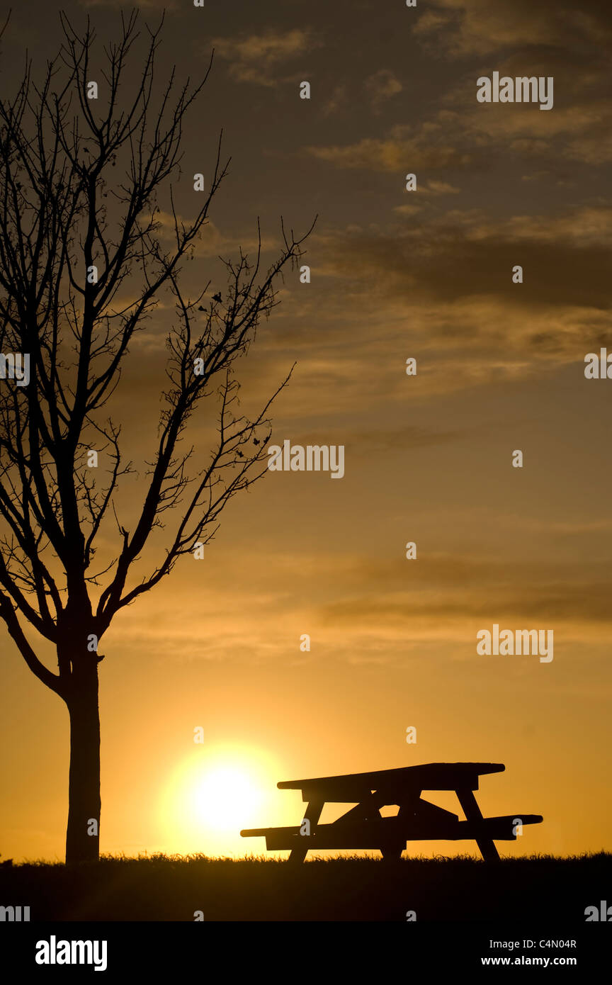 Picnic bench and tree silhouetted at sunset Stock Photo