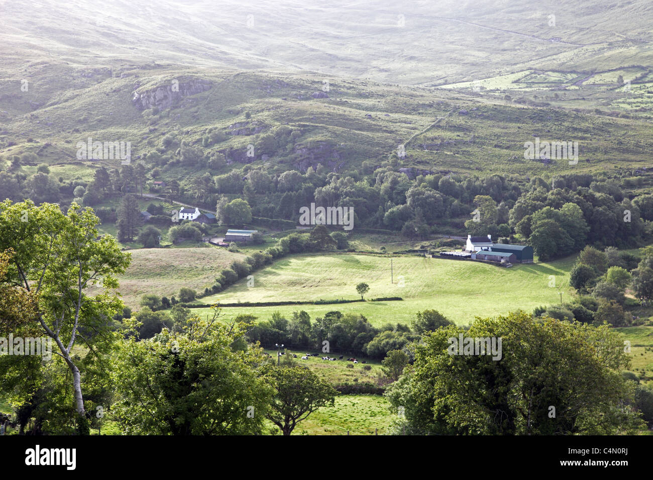 Druids View, farmland in County Kerry Ireland Stock Photo