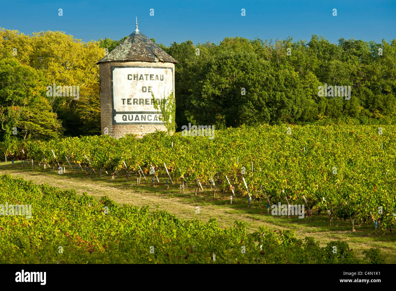 Chateau de Terrefort Quancard vineyard, Bordeaux, France Stock Photo ...