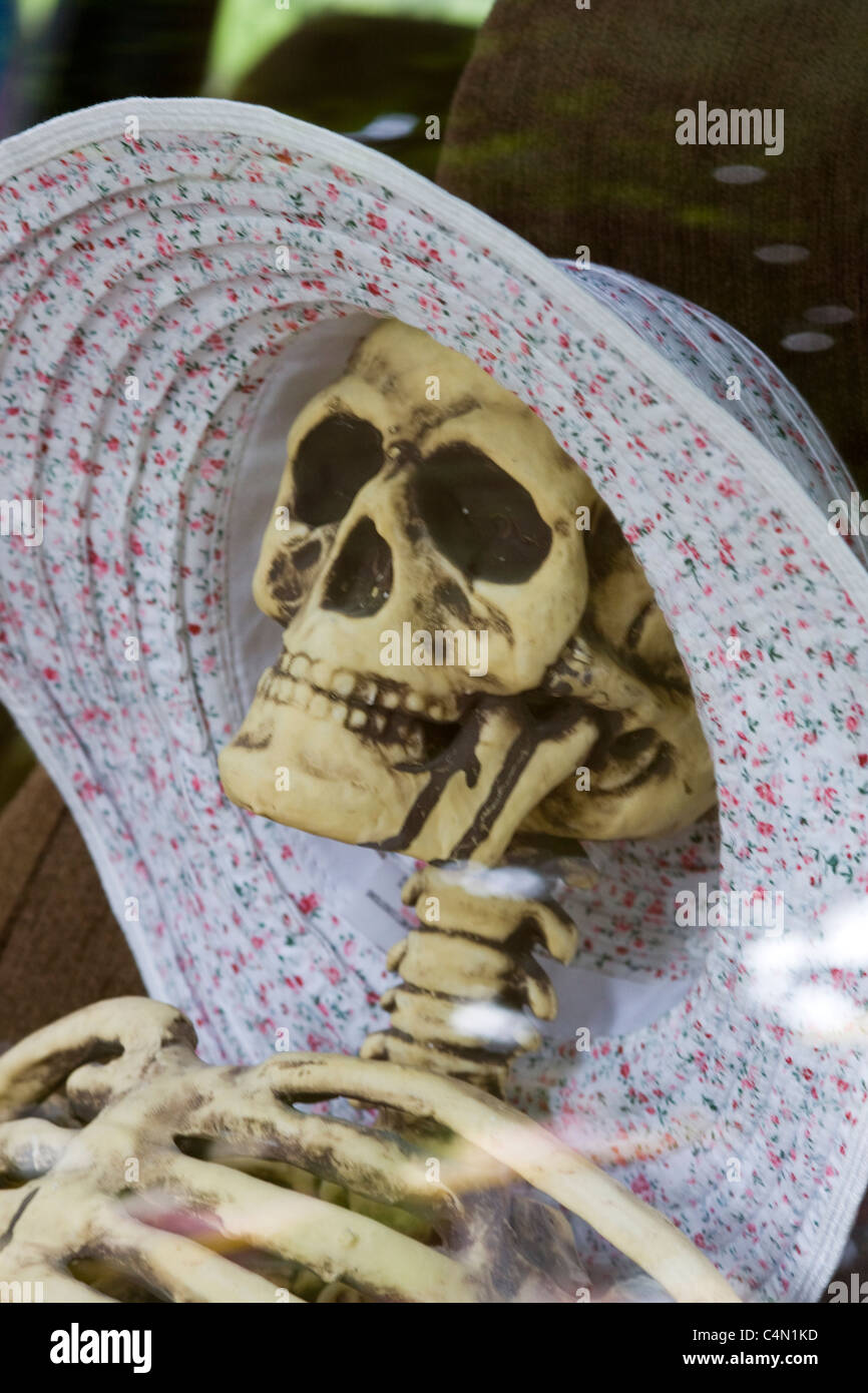 Driving Miss Daisy Skeleton Stock Photo