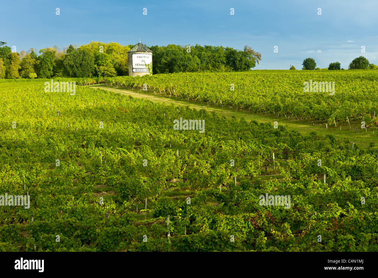 Chateau de Terrefort Quancard vineyard, Bordeaux, France Stock Photo ...