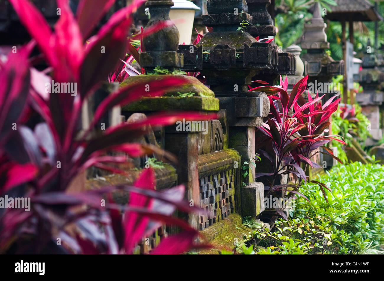 Logo Dharma Wanita Persatuan Vector