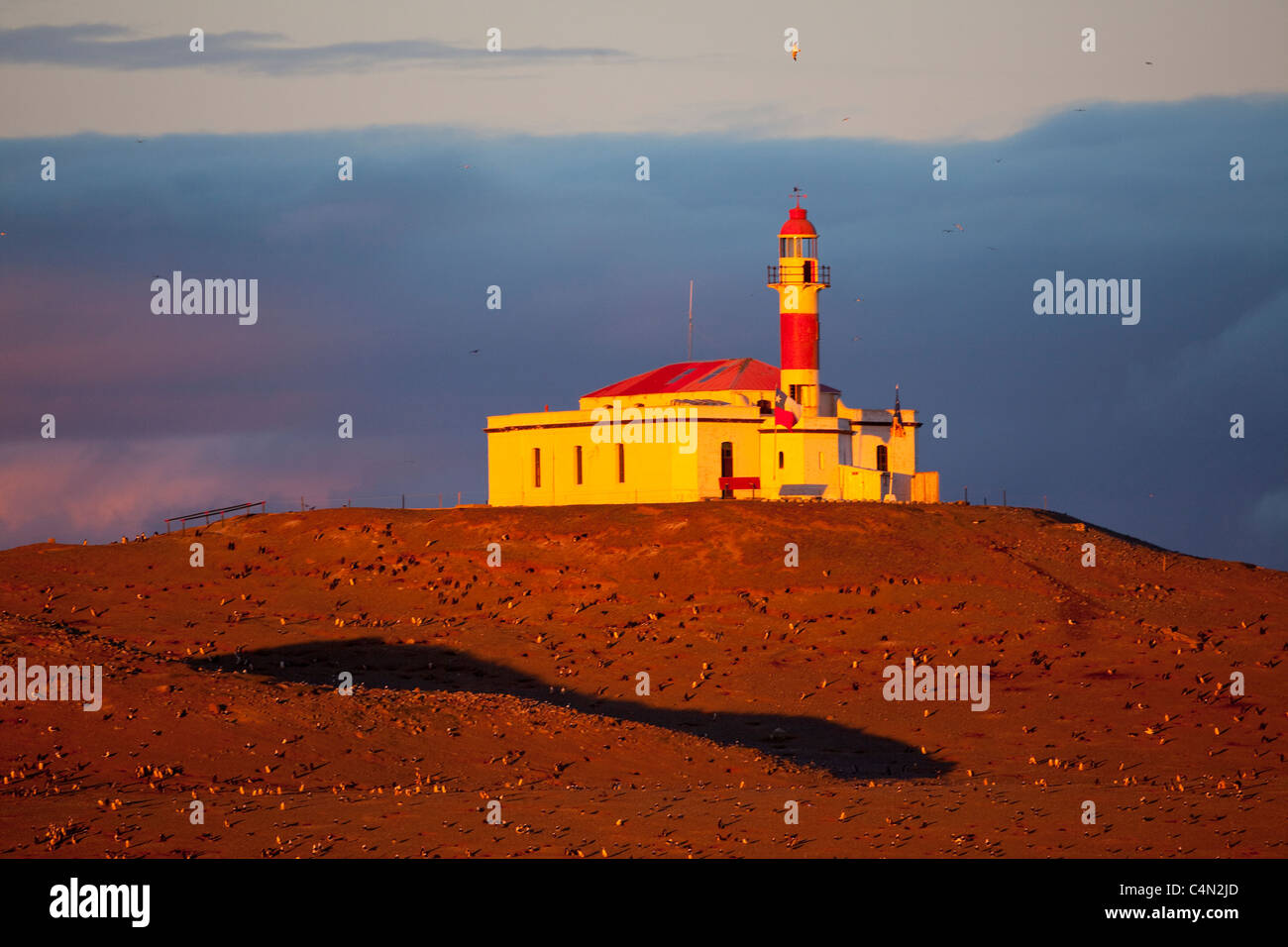Magdalena Island Lighthouse, Chile. Stock Photo
