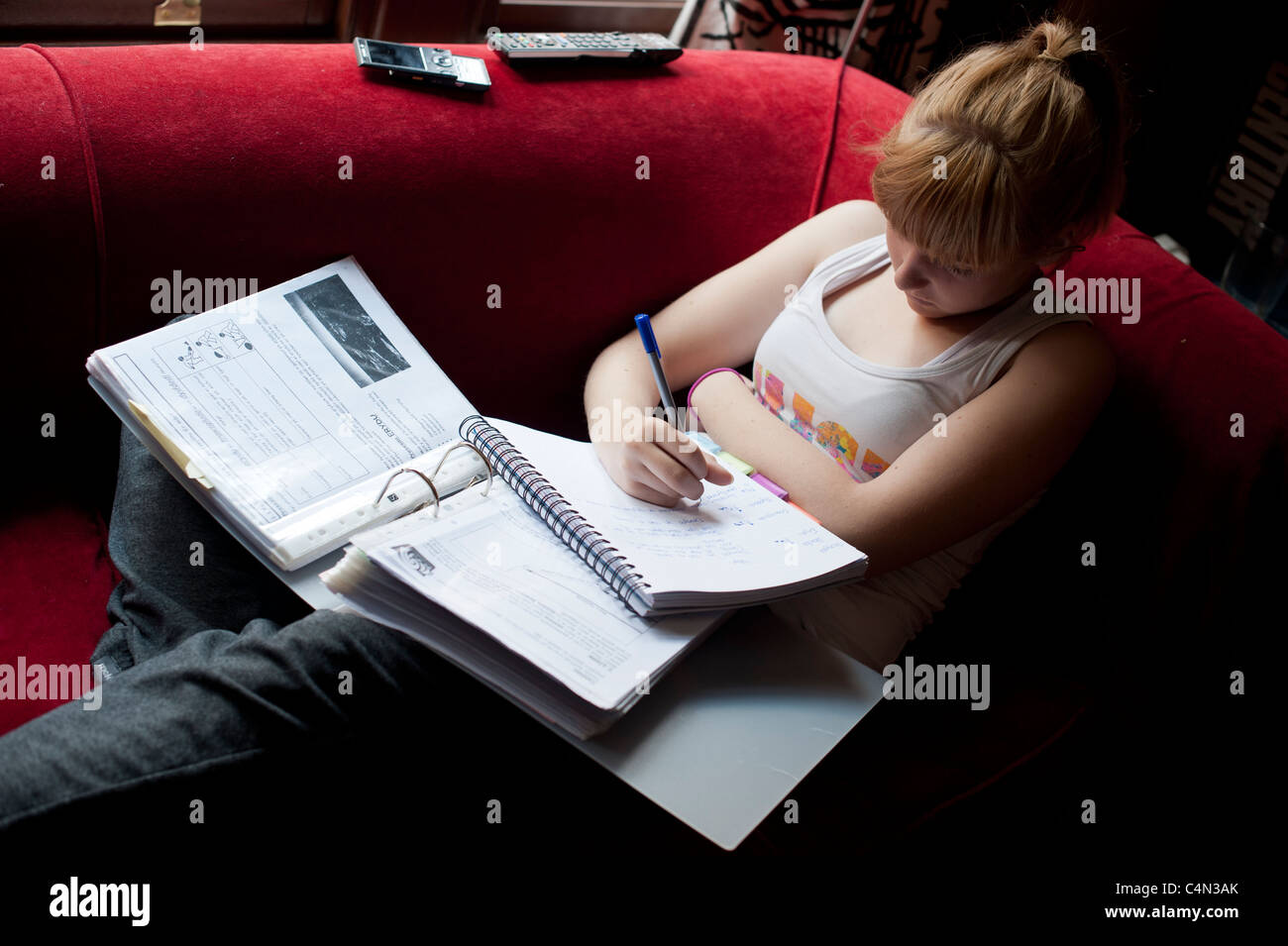 a 16 year old teenage girl revising for her GCSE examinations, Wales UK Stock Photo