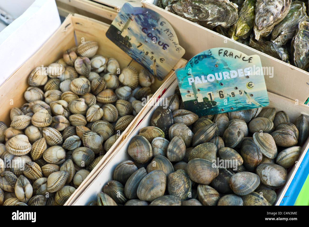 Live clams, cockles and oysters, palourdes, coque, huitres, on sale at food market at La Reole in Bordeaux region of France Stock Photo